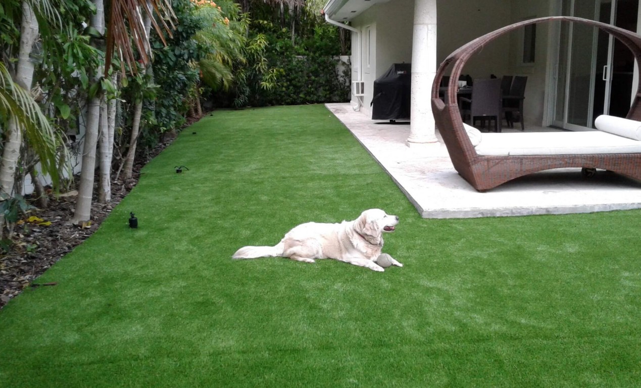 Pet-safe artificial grass with advanced drainage in Rialto backyard